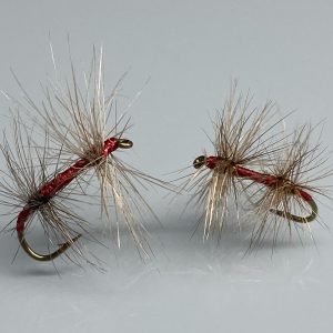 Mouches Exquises Rouge