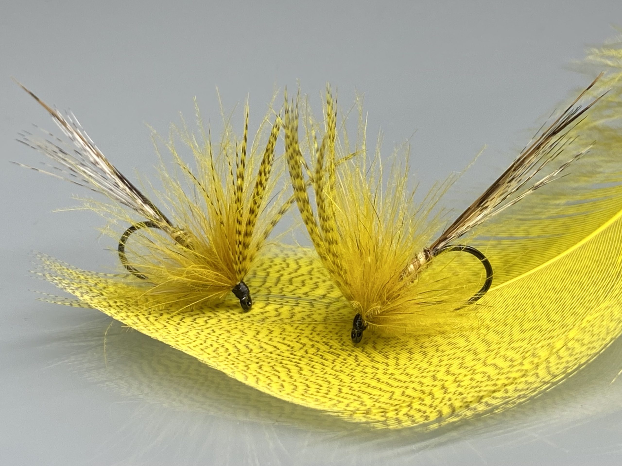 Mouche de Mai "Ma préférée"