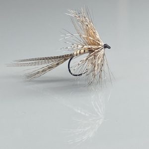 Mouche Mai