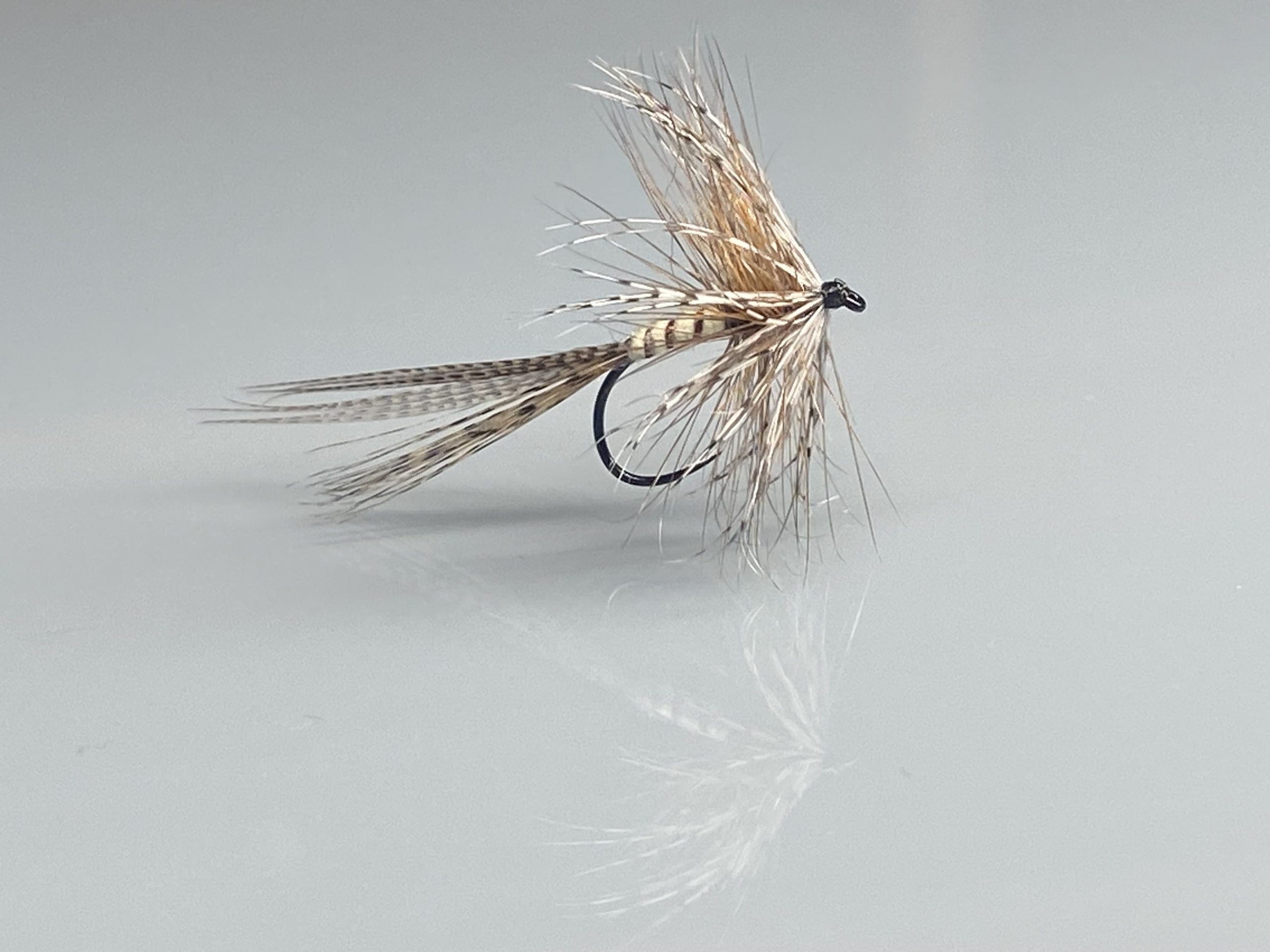 Mouche Mai