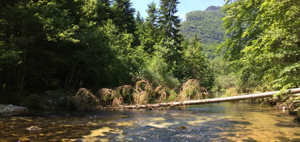 Paysage du Vercors