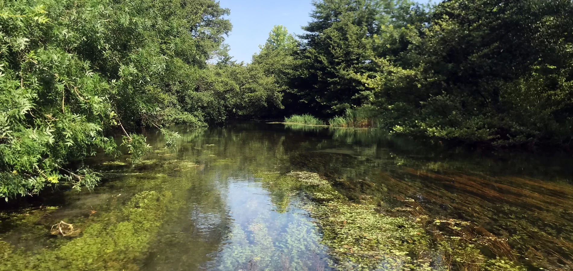 Rivière du Vercors