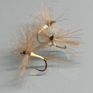 Le Moustic du Jura