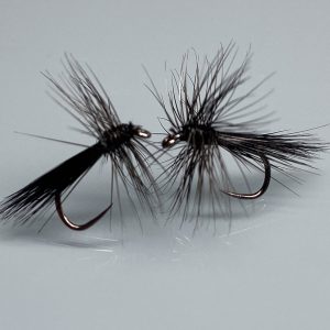 Black Sedge