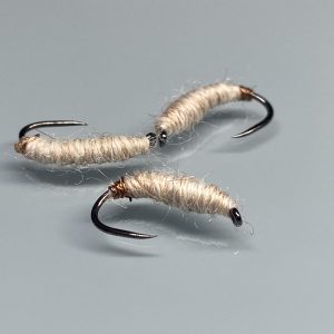 Killer Bug