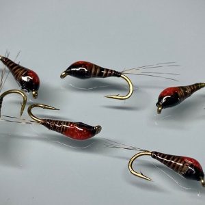 Perdigone black and red quill