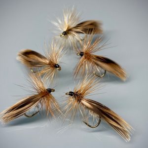 Sedge flanc de canne