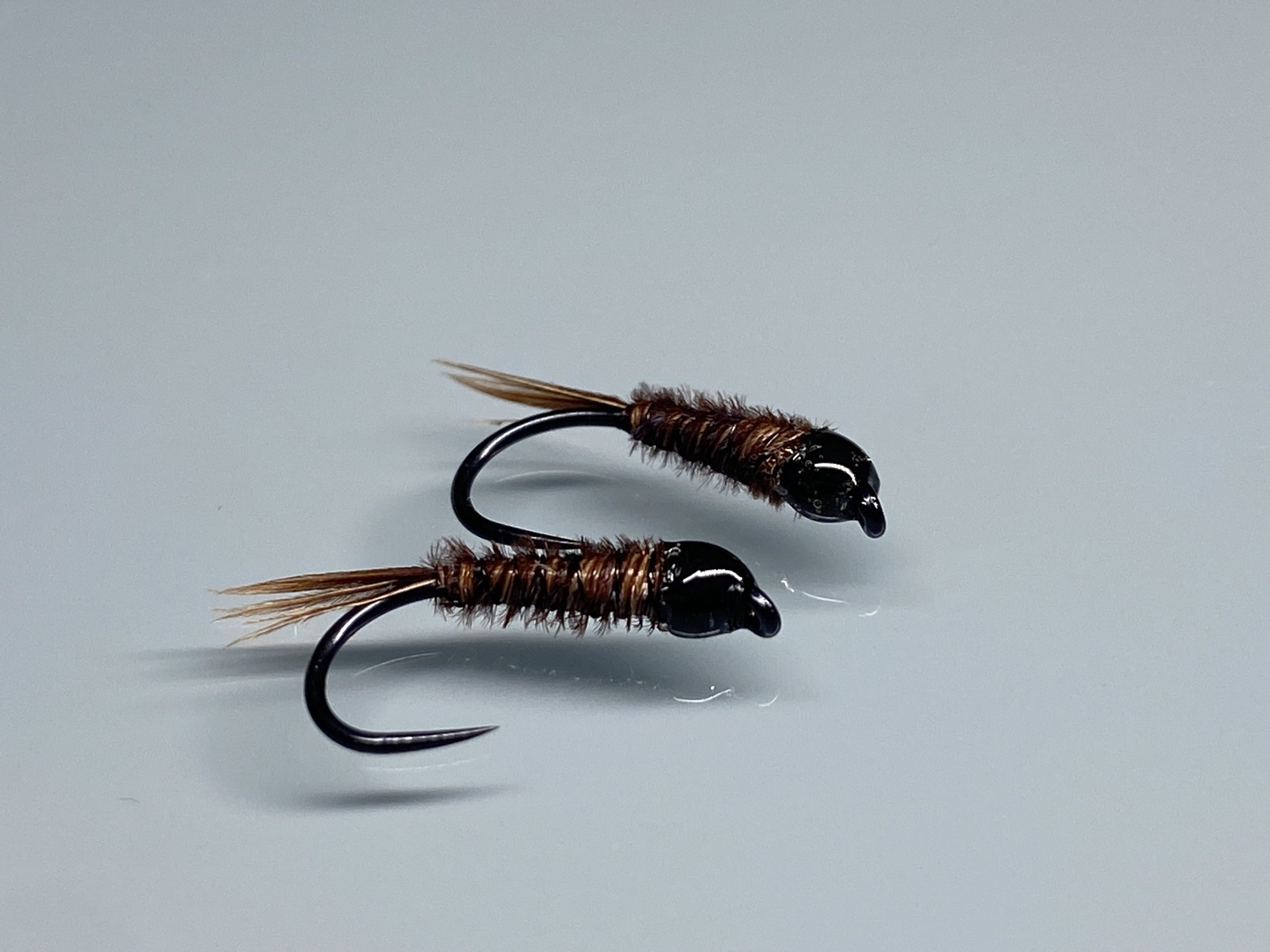 Pheasant-tail Noire