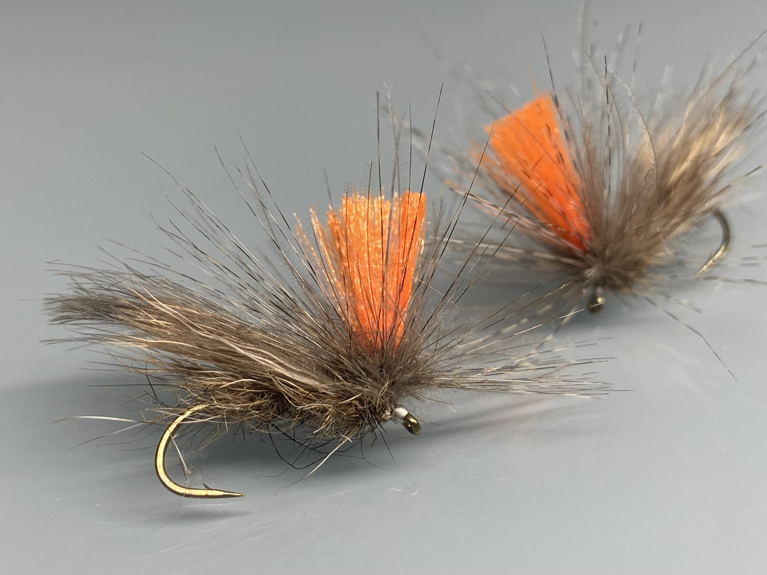 Sedge Delle Alpi
