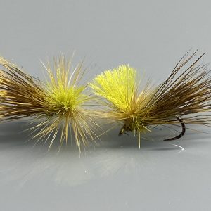Taban Olive