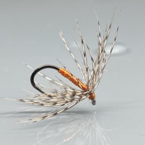 Partridge & Orange
