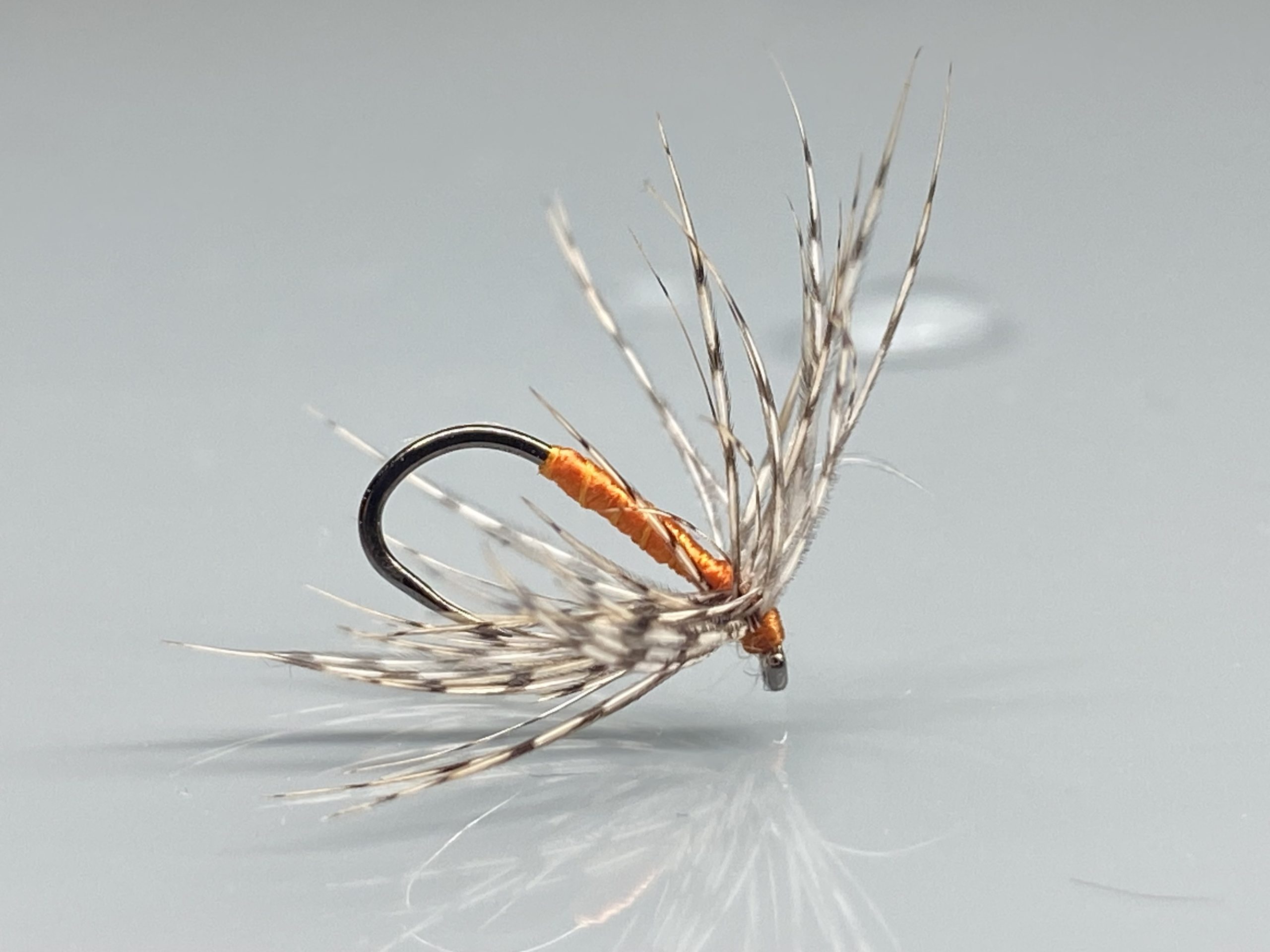 Partridge & Orange