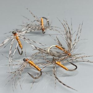 Partridge & Orange