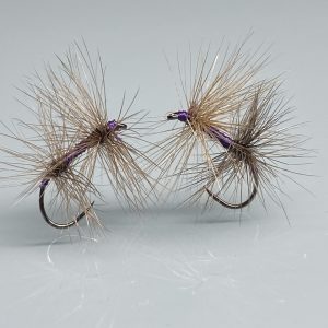 Mouche Exquises Violine