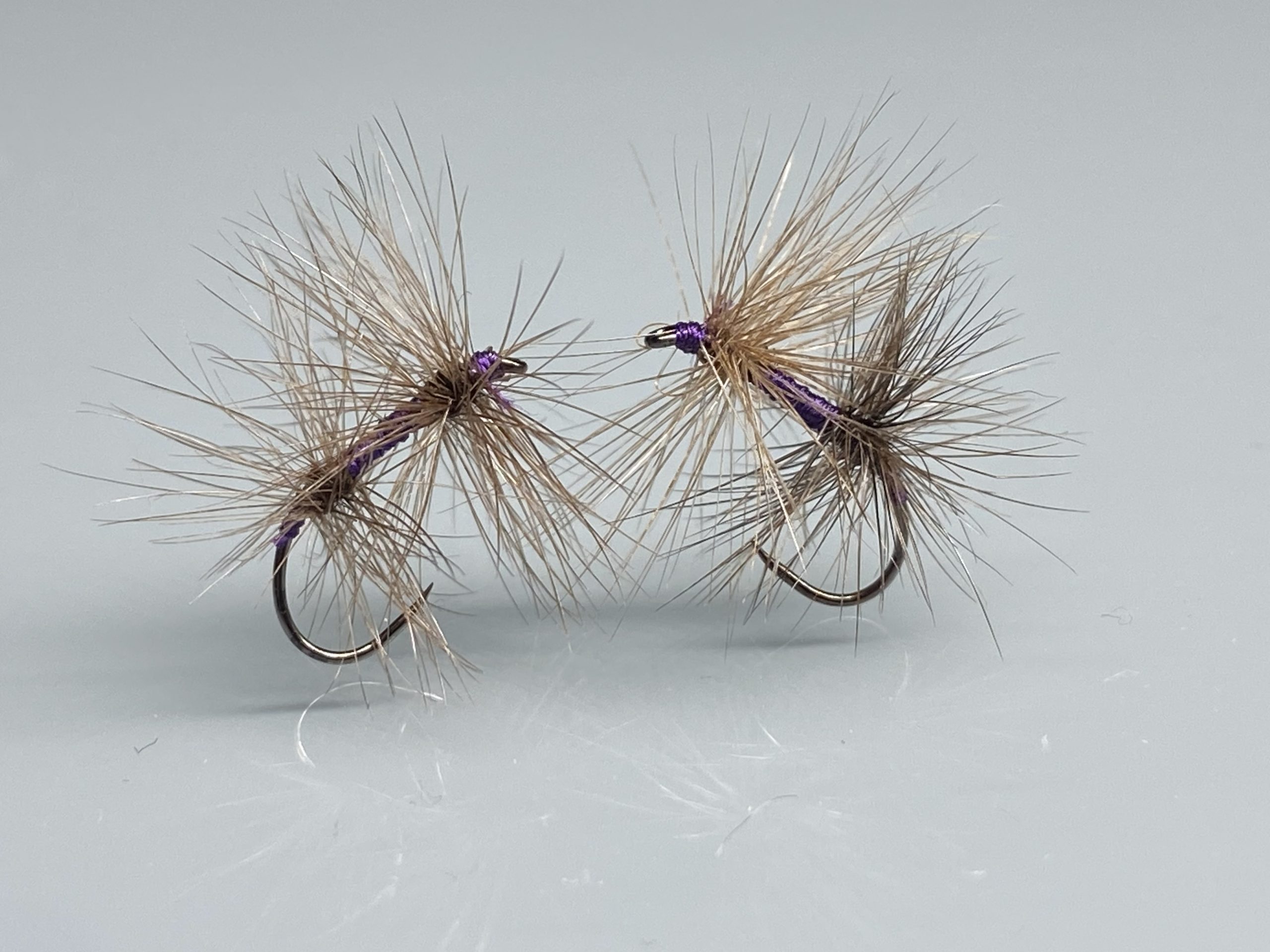 Mouche Exquises Violine