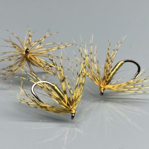 Noyée Perdrix Olive