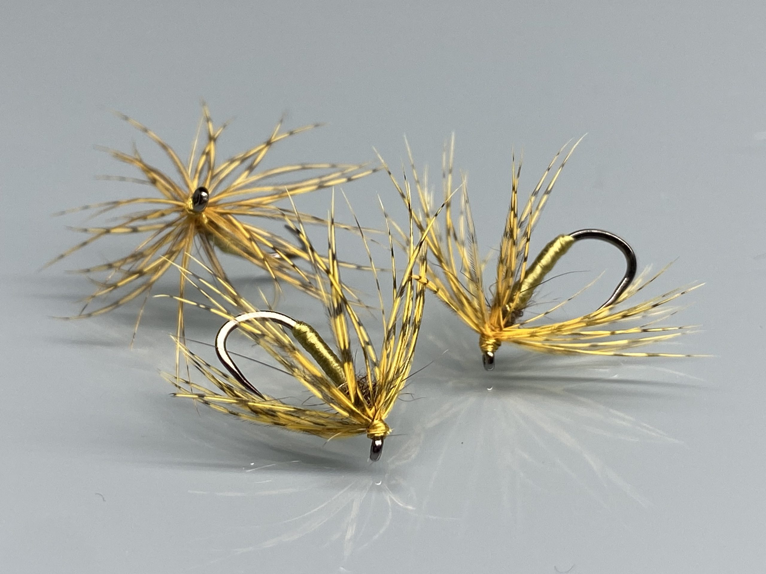 Noyée Perdrix Olive