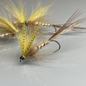 Mouche de MAI Ma Préférée 1
