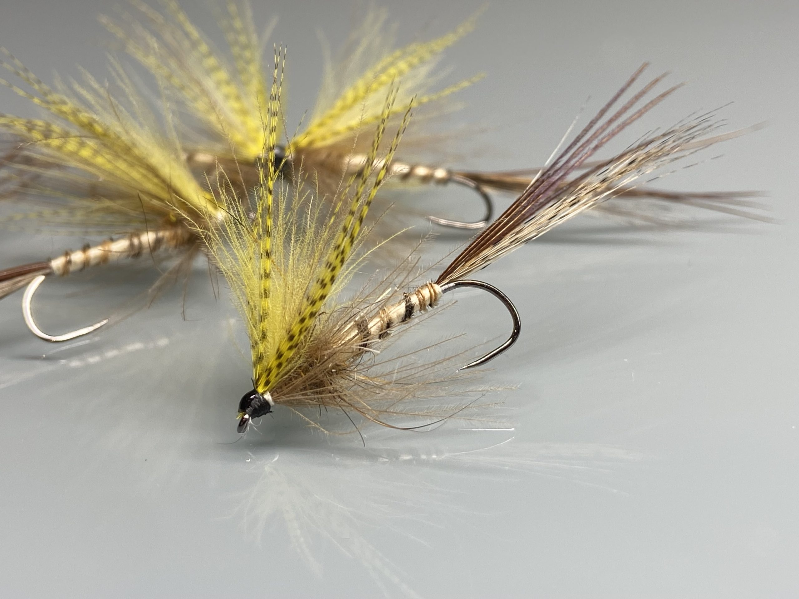 Mouche de MAI Ma Préférée 1